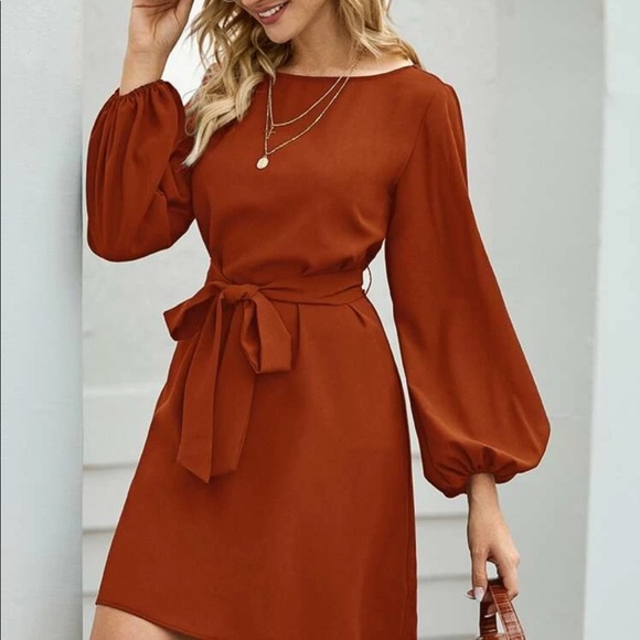 Dresses & Skirts - Boho lantern sleeve belted dress rust brown